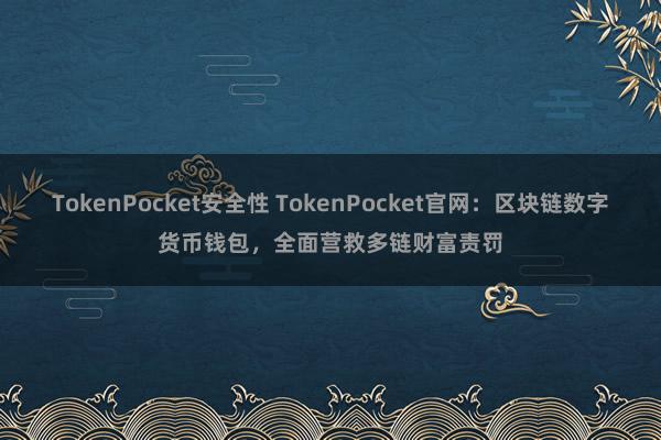 TokenPocket安全性 TokenPocket官网：区块链数字货币钱包，全面营救多链财富责罚